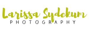 larissa_sydekum_logo